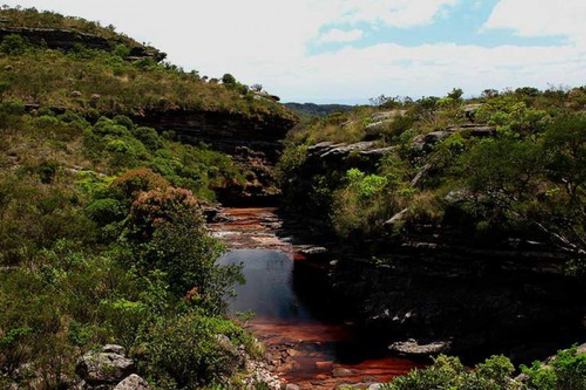 [Ministério do Meio Ambiente direciona recurso para o Floresta+ recuperar mata nativa na Bahia]