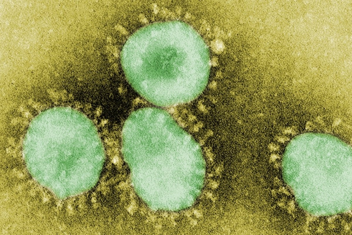 [Estudo mostra que imunidade a outros coronavírus não protege contra Covid-19]