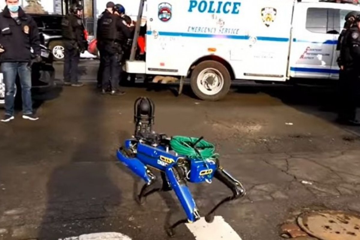 [Cão-robô da polícia de Nova York é usado durante investigação de invasão a uma casa]