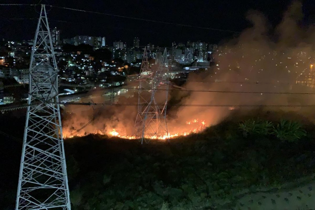 [Vídeo: incêndio atinge região do bairro de Brotas]