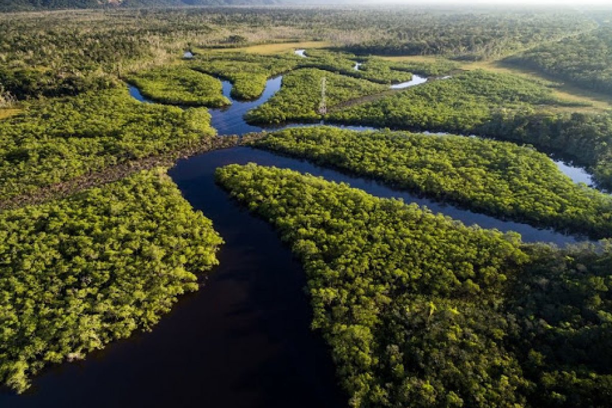 [Estudo da ONU aponta que terras indígenas retêm quase metade da floresta intacta na Amazônia]