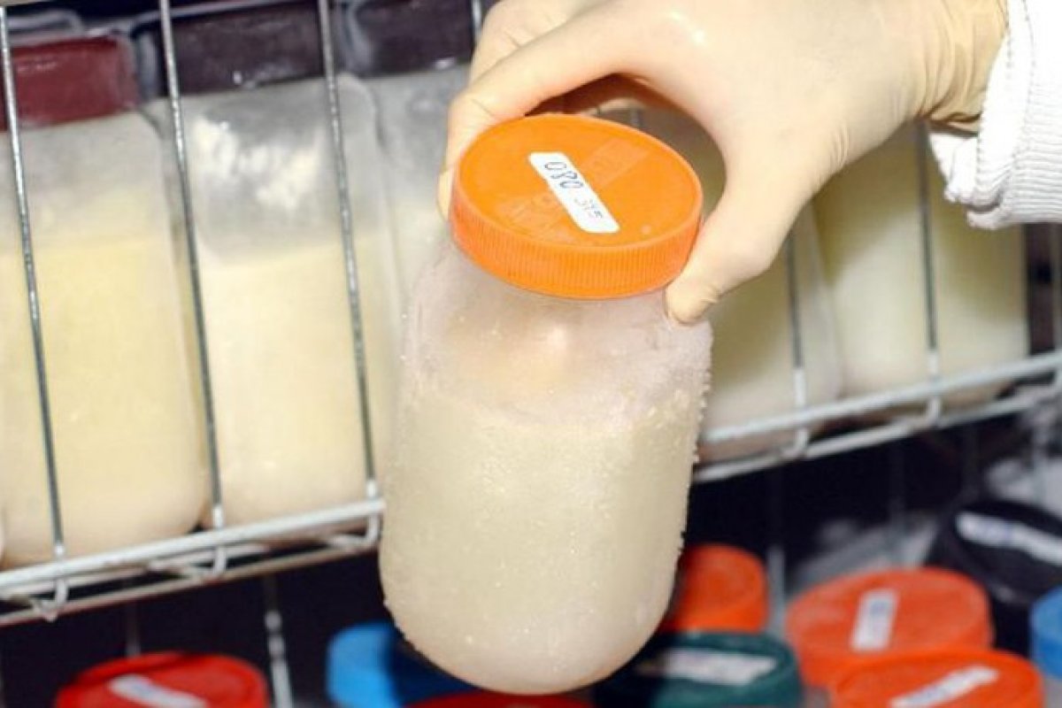 [Fiocruz anuncia participação no banco de leite materno da OMS]