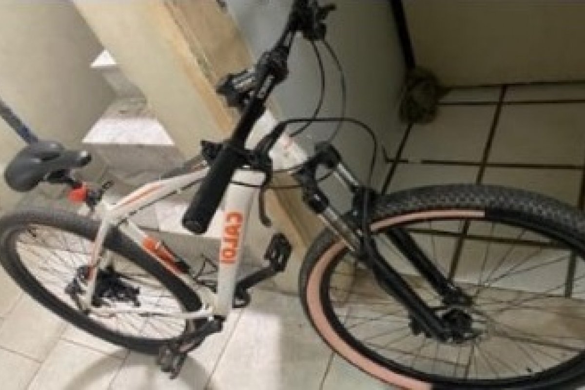 [Polícia recupera bicicleta roubada anunciada no OLX]
