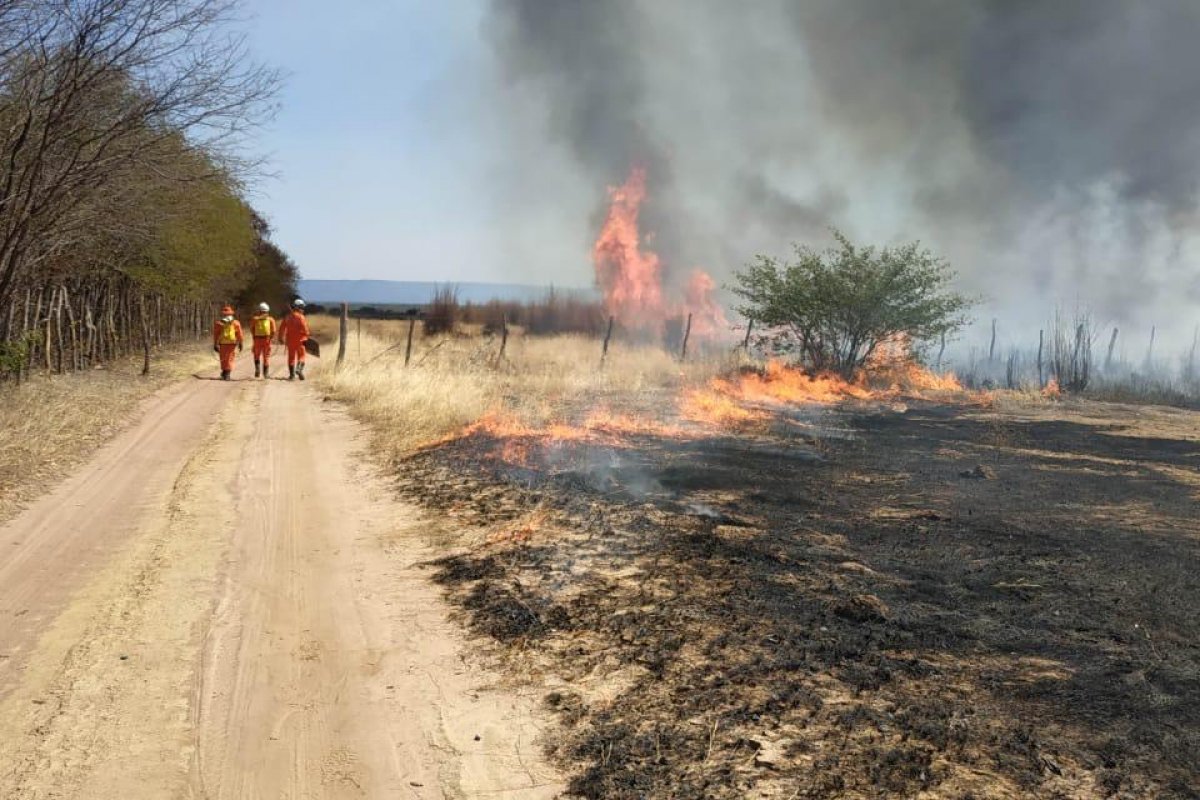 [Bombeiros tentam controlar incêndio que atinge área de vegetação em Ibotirama]