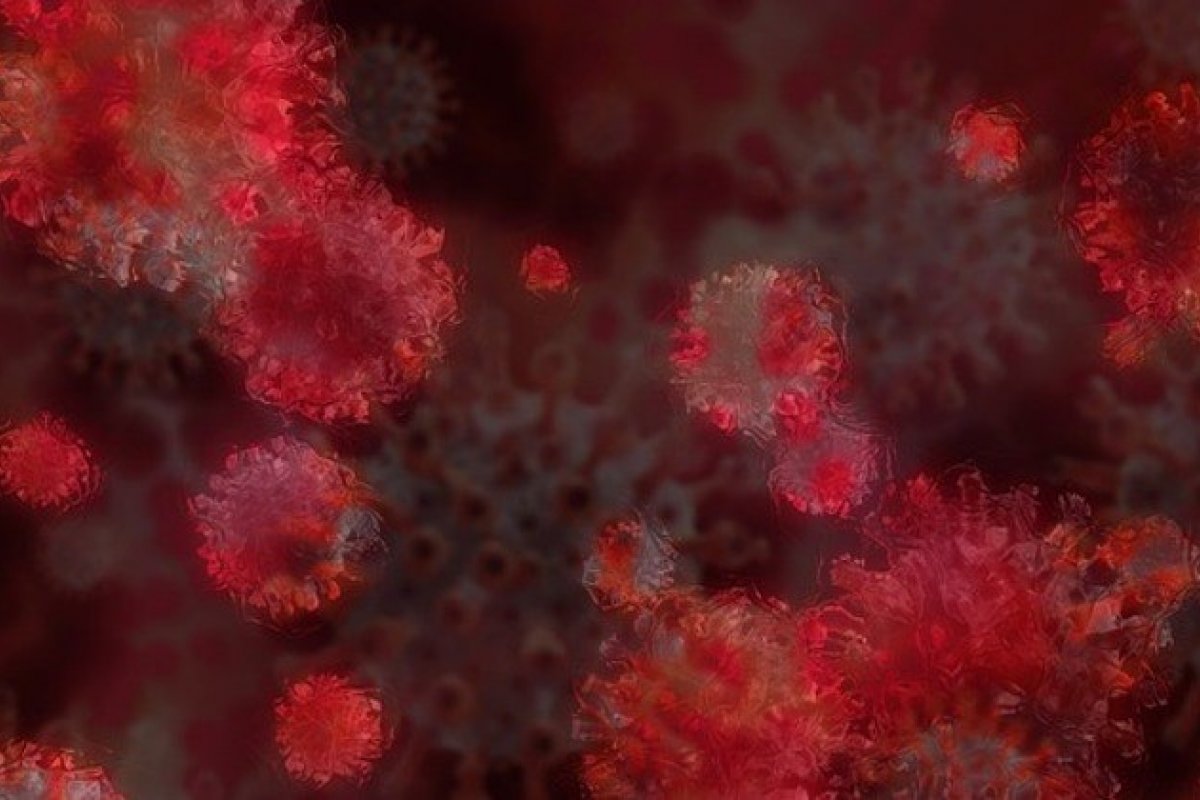 [Um novo coronavírus é encontrado em morcegos no Reino Unido, diz estudo]
