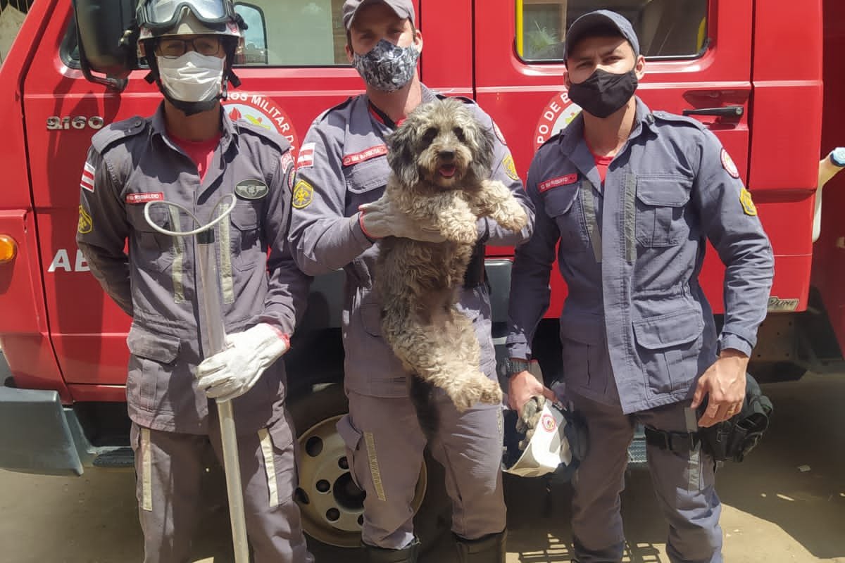 [Bombeiros resgatam cachorro preso entre paredes de duas residências]