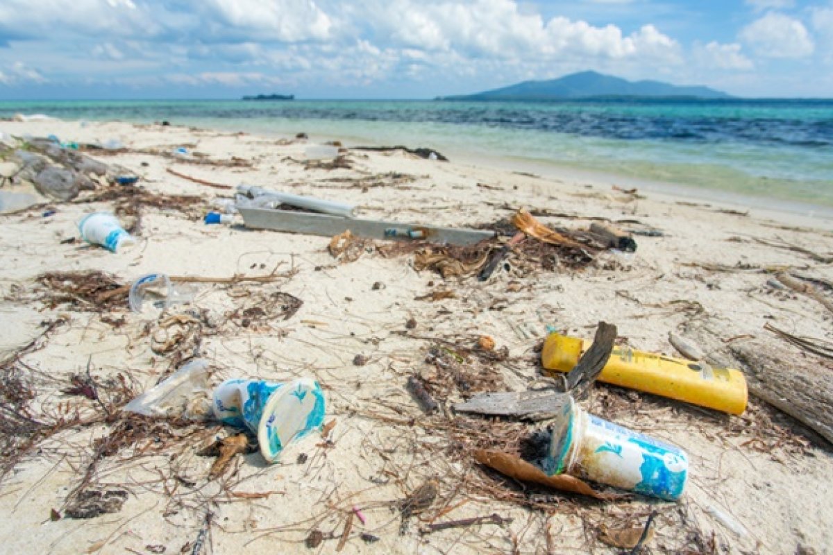 [Marinha e entidades realizam limpeza nas praias de Salvador neste sábado (18)]