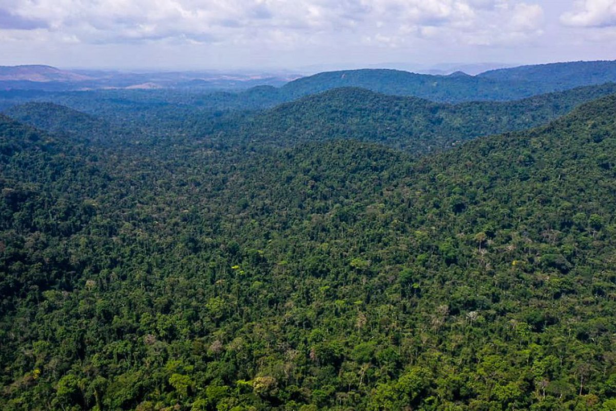 [Unesco e governo do Amazonas lançam plano de ação para Amazônia Central]