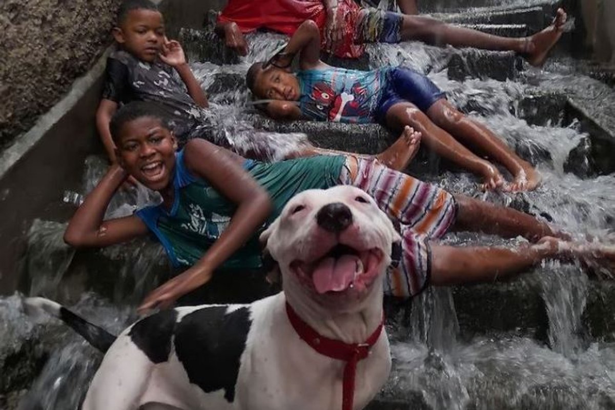 [Foto de cachorro e crianças sorrindo em temporal no RJ viraliza na web ]